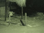 Wima_2005_4_l.jpg
